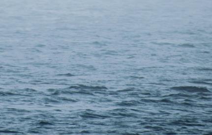 如何降低污水處理中的氨氮 如何降低污水處理中的氨氮