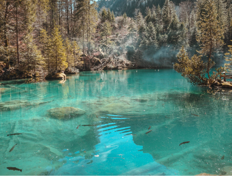 1649481076859006.png 微信截圖_20220401133602.png