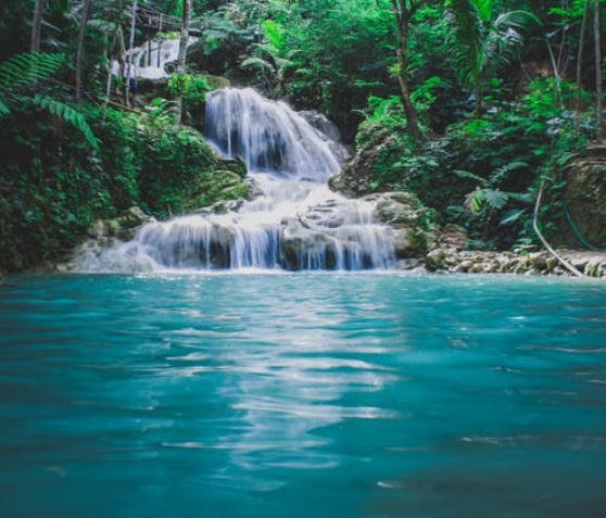 1653643545873498.jpg 5.jpg