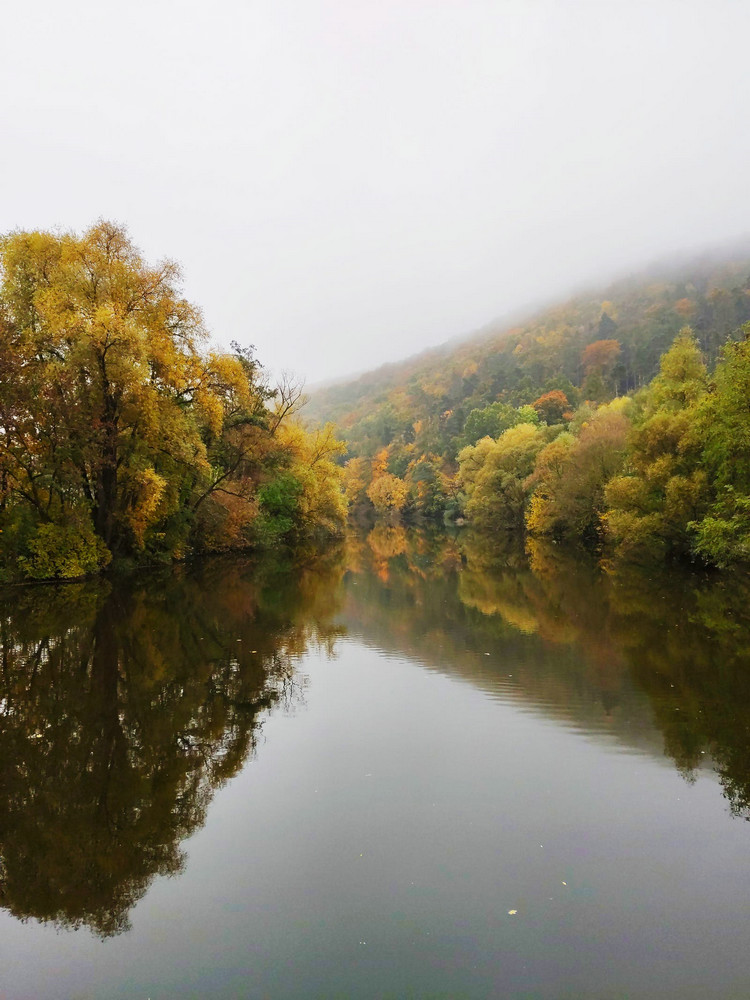 1659577806185271.jpeg pexels-photo-5693935.jpeg