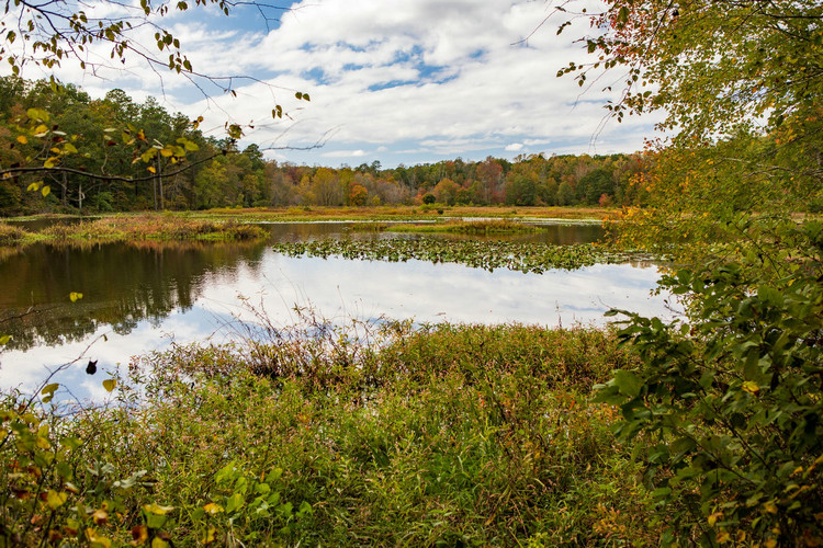 總氮檢測 總氮檢測