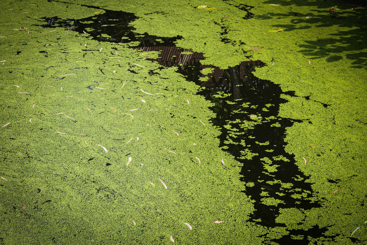 污水檢測(cè) 污水檢測(cè)