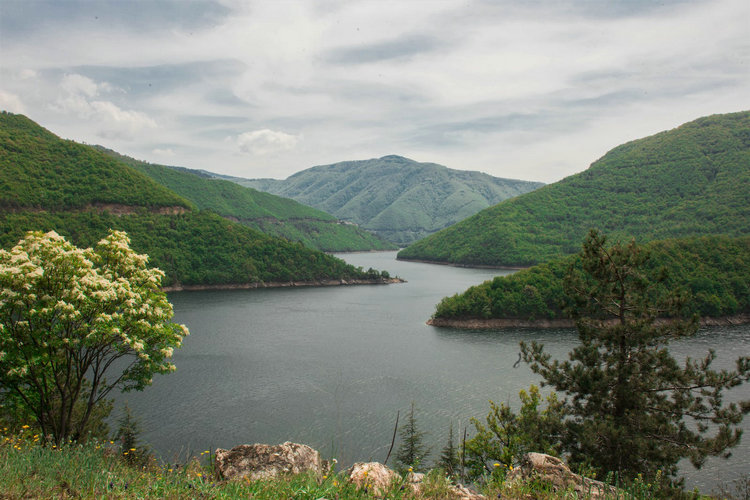 氨氮快速測定儀 氨氮快速測定儀